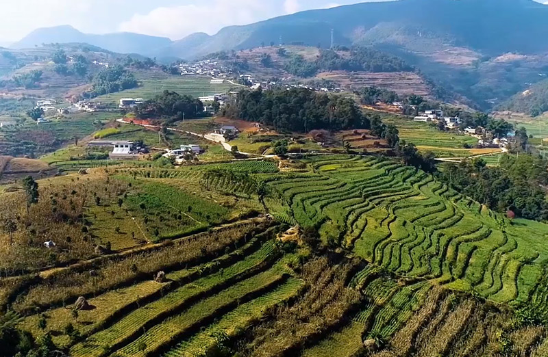 對(duì)話(huà)當(dāng)年“植樹(shù)人”? 弘揚(yáng)右玉精神